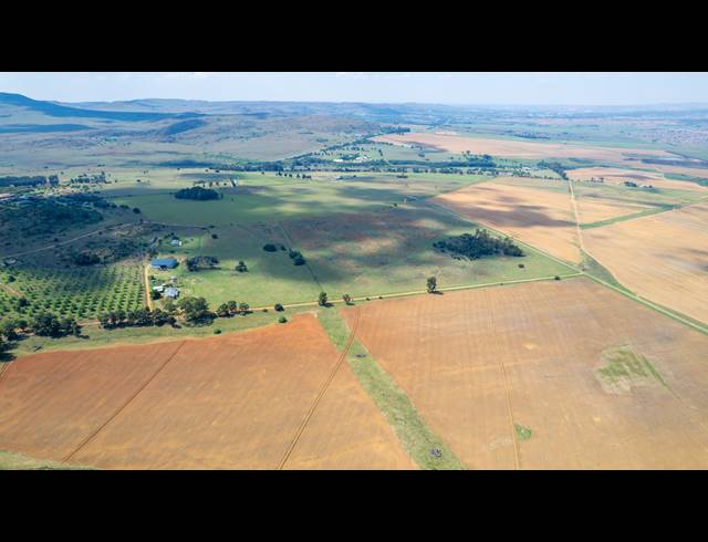 FARM FOR SALE IN HEIDELBERG AH